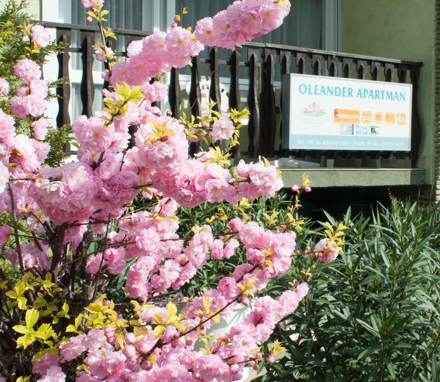 Oleander Apartman Hévíz Exterior foto